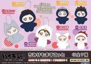 『ハイキュー!!』ちみけもますこっと(全7種)予約受付中!